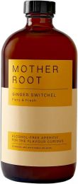 Mother Root GINGER Switchel Non Alcoholic 0% Aperitif 480ml